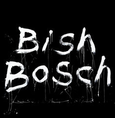 | Vinyl LP | Scott Walker - Bish Bosch (2 LPs) | Records on Vinyl