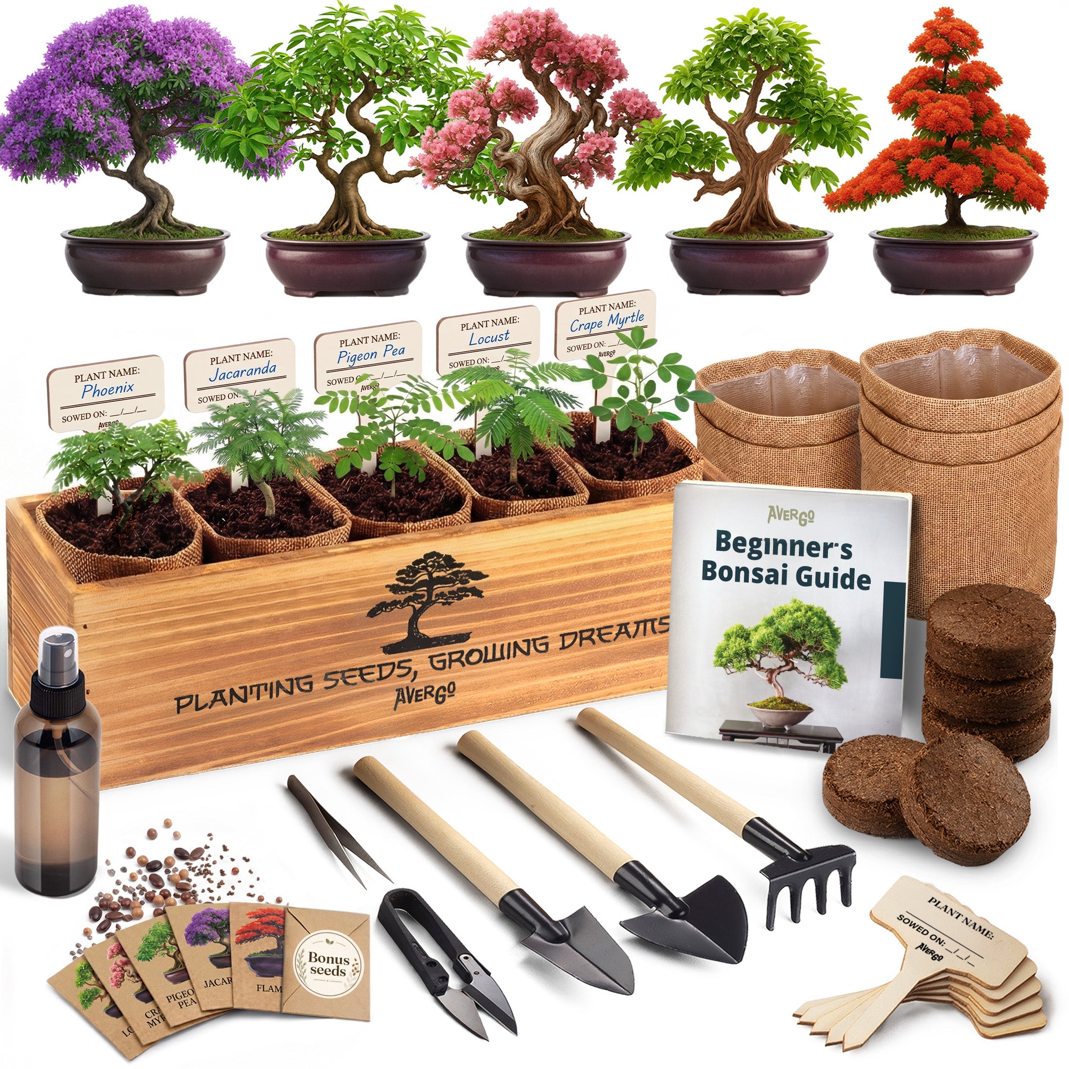 AVERGO Bonsai Tree Kit Deluxe - 5X Unique Japanese Bonzai Trees | Complete Indoor Bonsai Starter Kits for Growing Trees – DIY Gardening Gifts for Mother, Women & Men