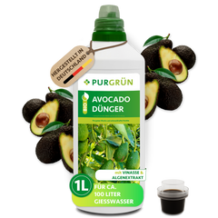 Eine 1-Liter-Flasche Purgrün Bio-Avocado-Dünger ist mit Avocados und einer Tasse dunkler Flüssigkeit abgebildet. Auf dem Etikett steht Vinasse und Algenextrakt, hergestellt in Deutschland, für gesunde Avocadobäume.