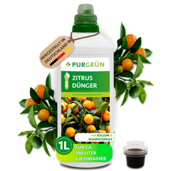 Bio-Zitrusdünger 1 Liter