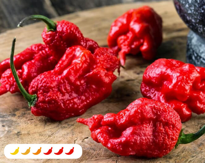 2.32 qt. Carolina Reaper Pepper