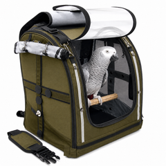 Olive Pak-O-Bird with a parrot inside on a white background