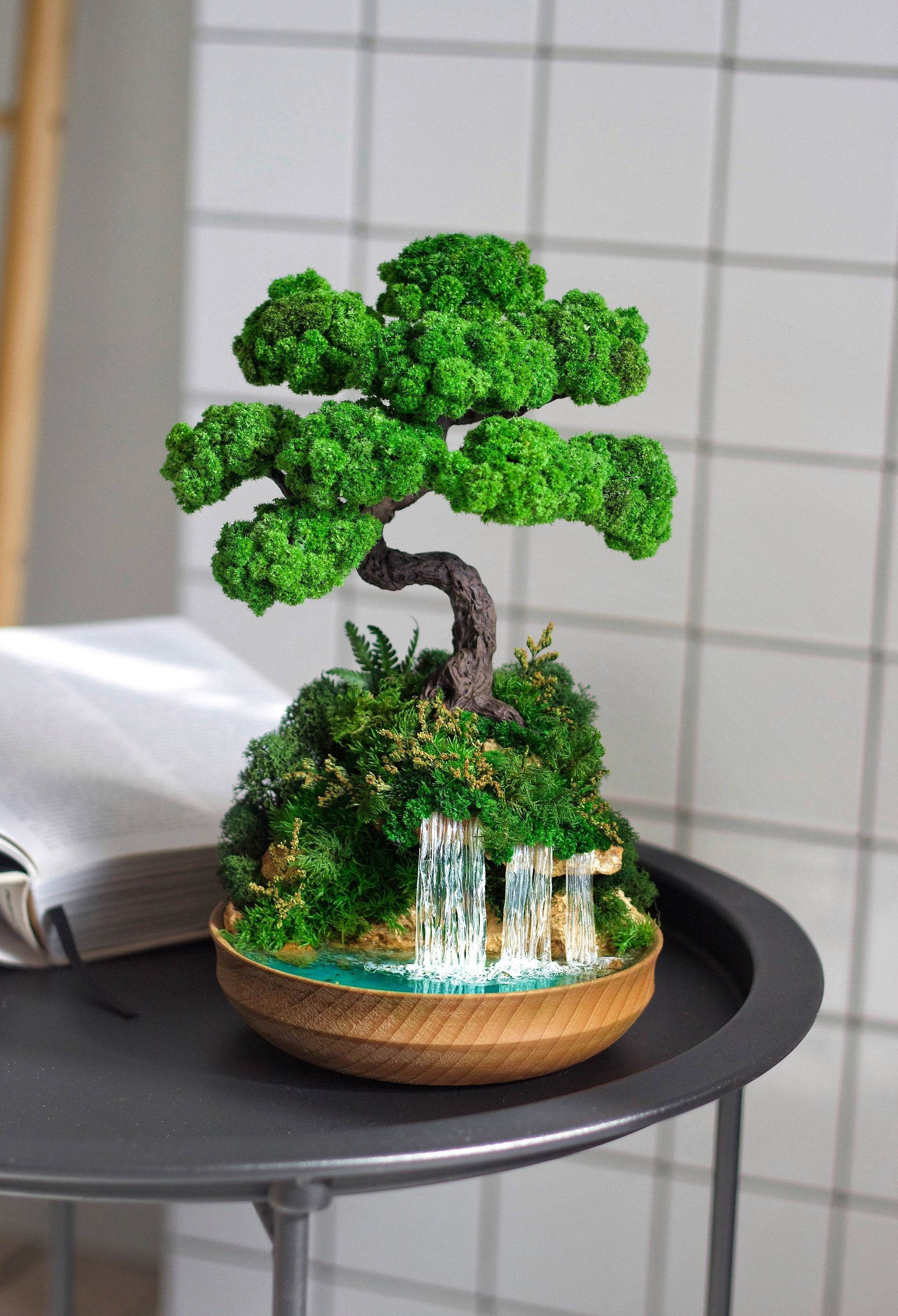 Indoor bonsai with Preserved moss - Handmade bonsai tree on Waterfall desk - MagicGardens