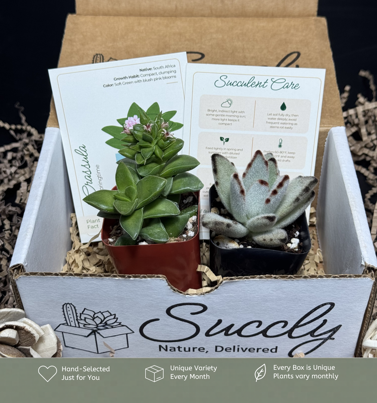Succly Subscription Box