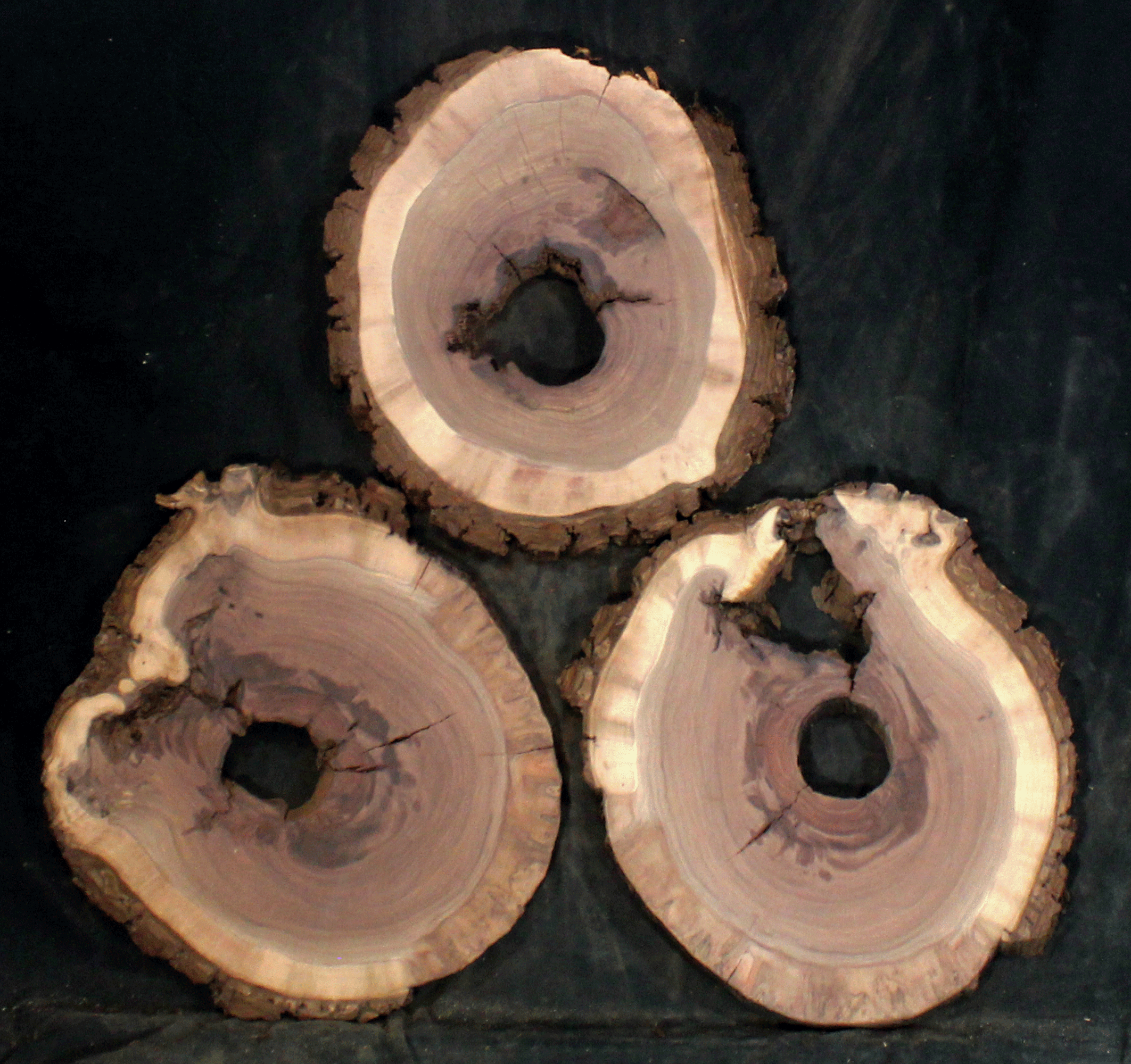 Claro Walnut for Resin Art