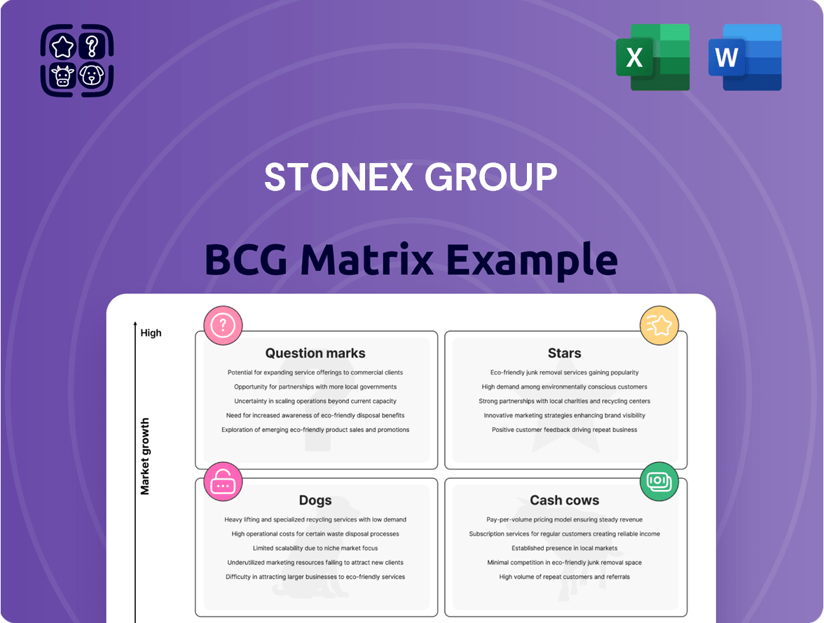StoneX Group Boston Consulting Group Matrix