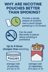 are zyns better than cigarettes Are Nicotine Pouches Addictive? What Science Says About Nicotine & Safer Alternatives