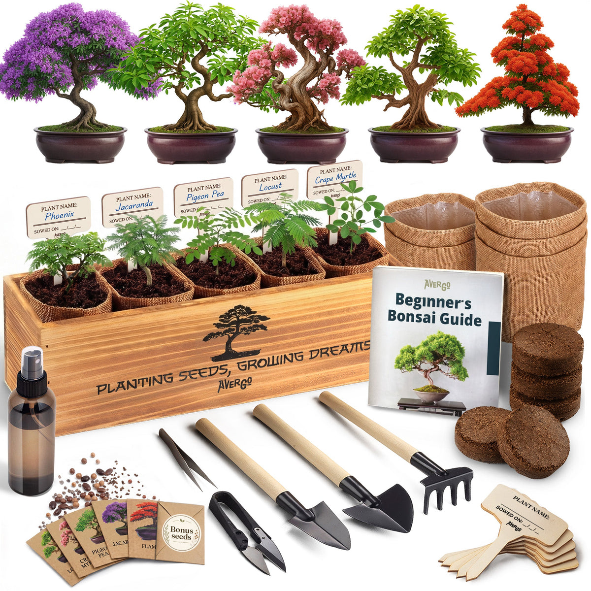 AVERGO Bonsai Tree Kit Deluxe - 5X Unique Japanese Bonzai Trees | Complete Indoor Bonsai Starter Kits for Growing Trees – DIY Gardening Gifts for Mother, Women & Men