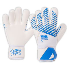 Hertha Torwarthandschuhe Hertha BSC 2.0