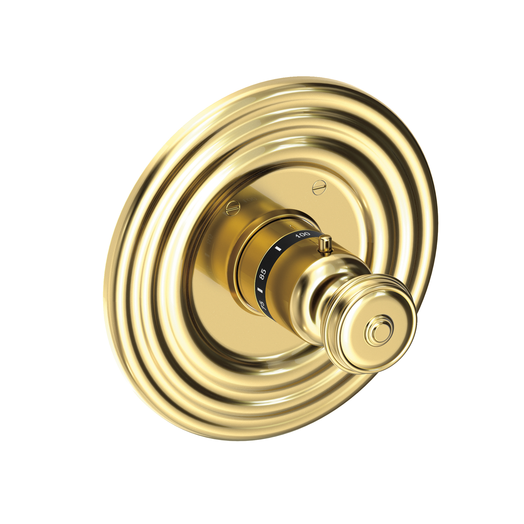 Newport Brass Seaport® 3/4" Round Thermostatic Trim Plate with Handle
