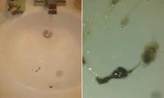 LiveLeak footage shows ex-smoker coughing up black tar from his lungs