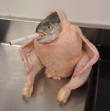 so i was looking around and saw this...a smoking fish chicken...i am now  altered : r/Weird