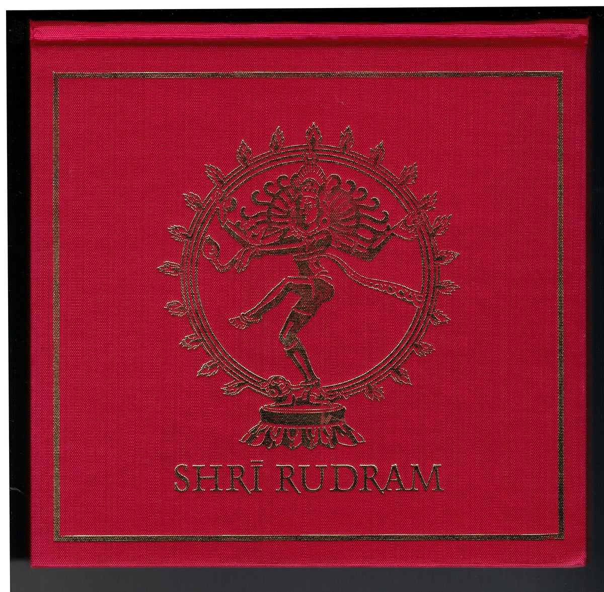 Shri Rudram-- used book depot