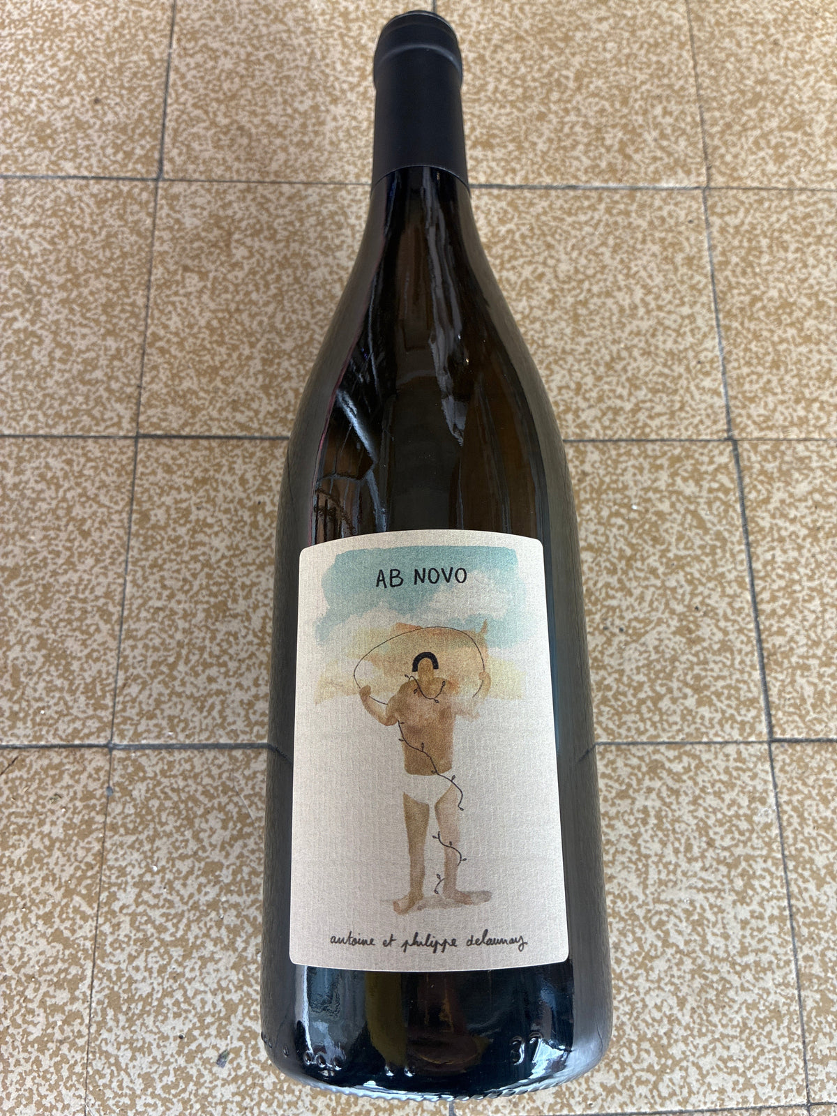 Ab Novo 2023, 75cl, Delaunay Vignerons