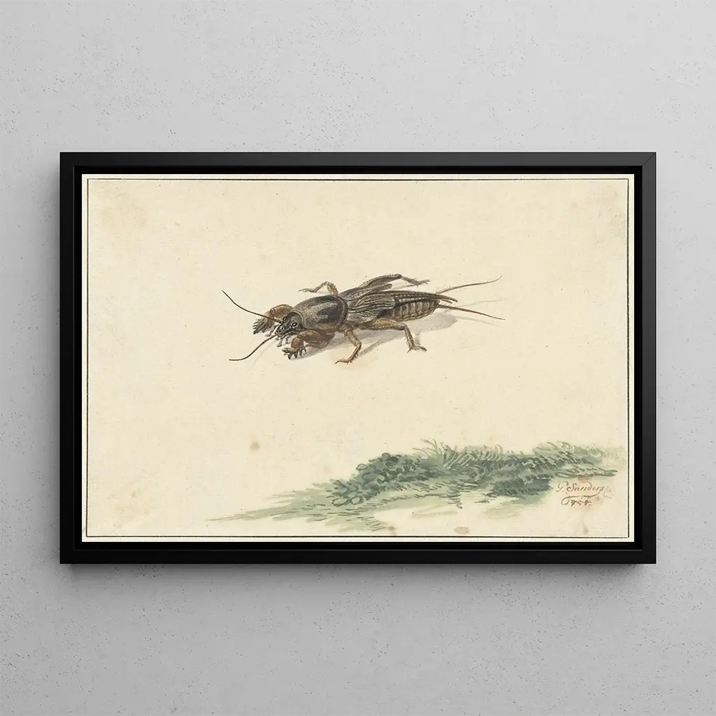 Gerard Sanders - Insect.webp
