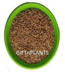 Rice Husk for Plants, Garden Use