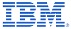 IBM Inspector Wearable Client Device LIC + SW S&S 12 MO
