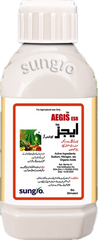 AEGIS  ESR SUNGRO