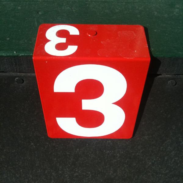 Hanging Rink Number - large