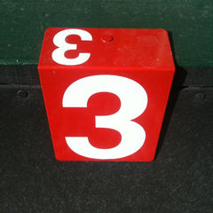 Hanging Rink Number - large