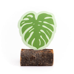 Monstera Sticker
