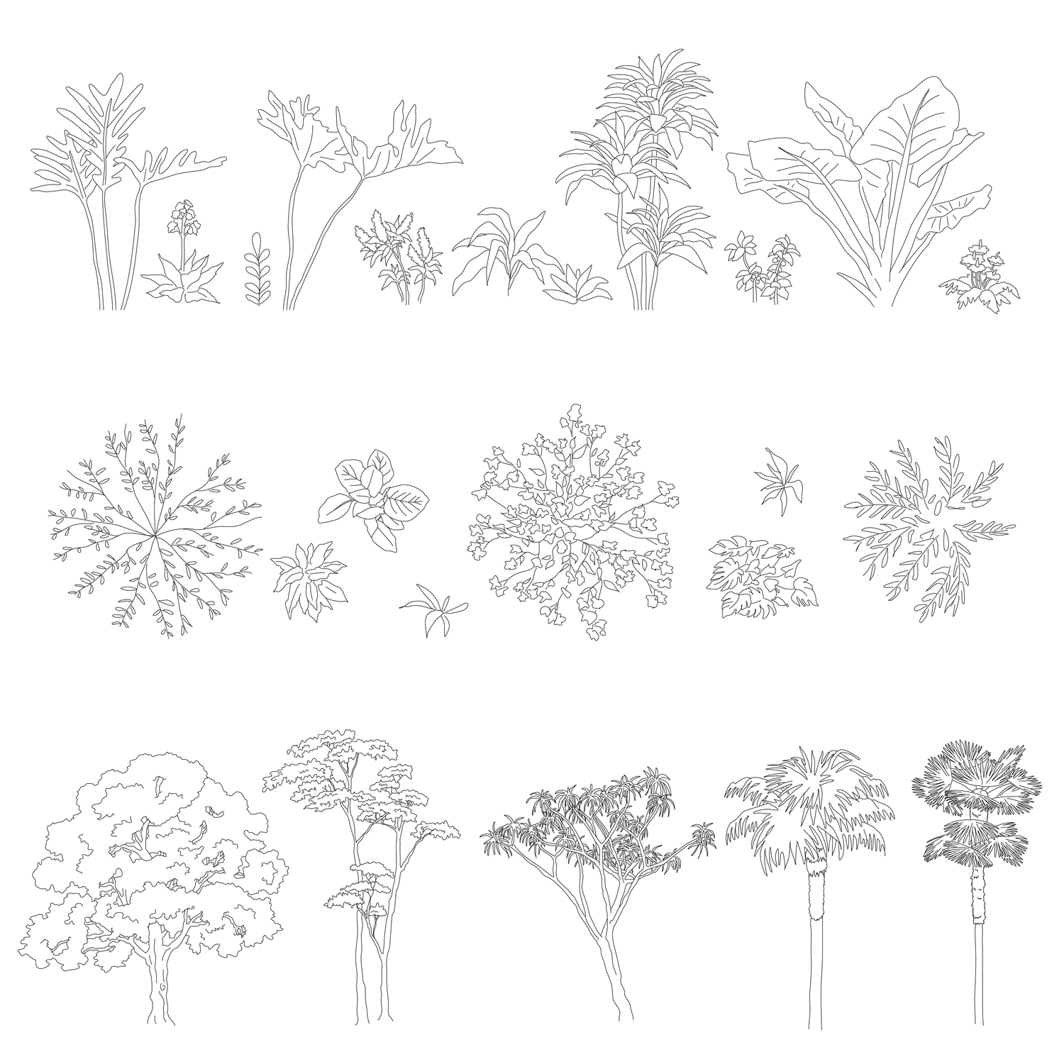 vector plants trees cad blocks