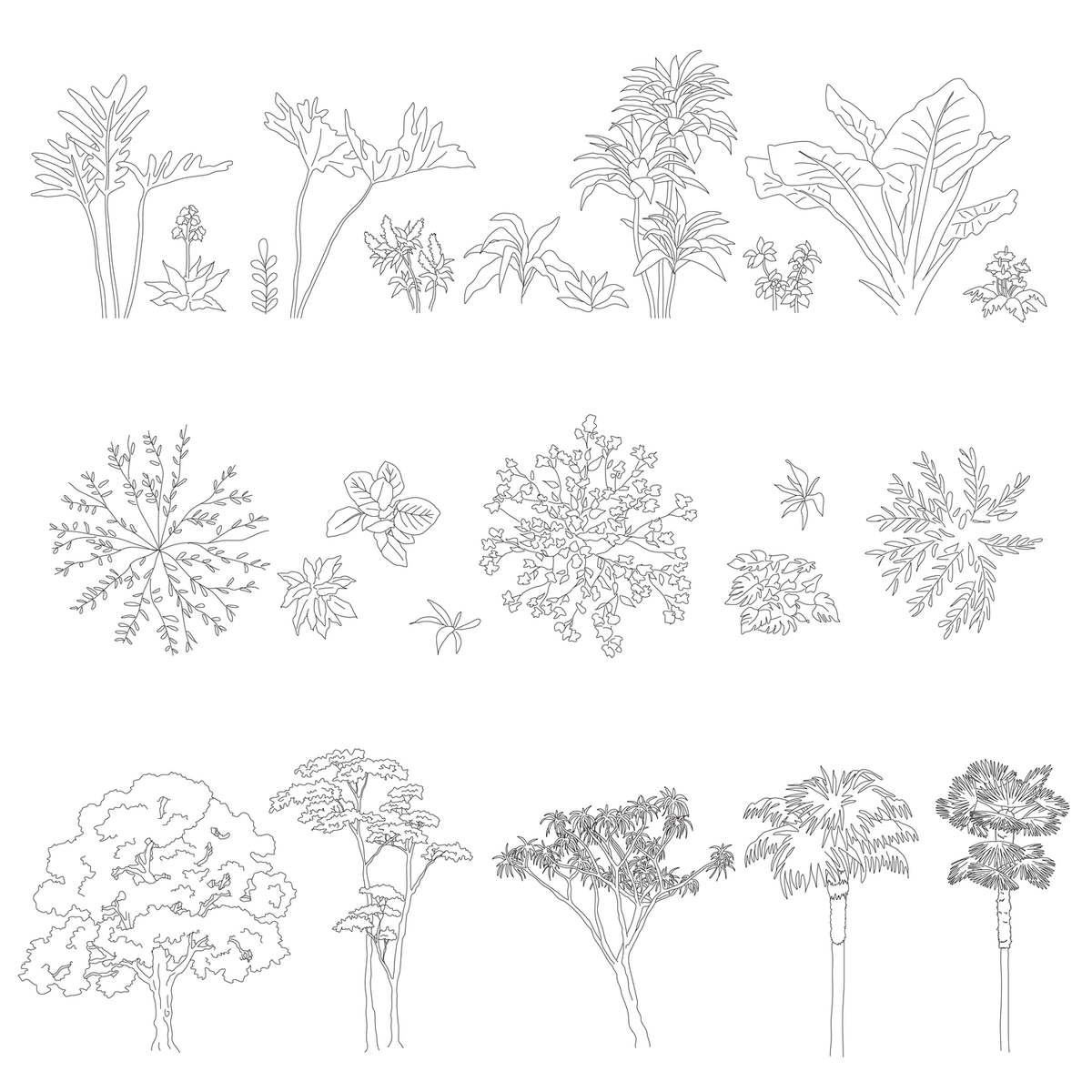 vector plants trees cad blocks