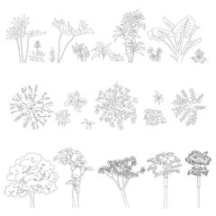 vector plants trees cad blocks
