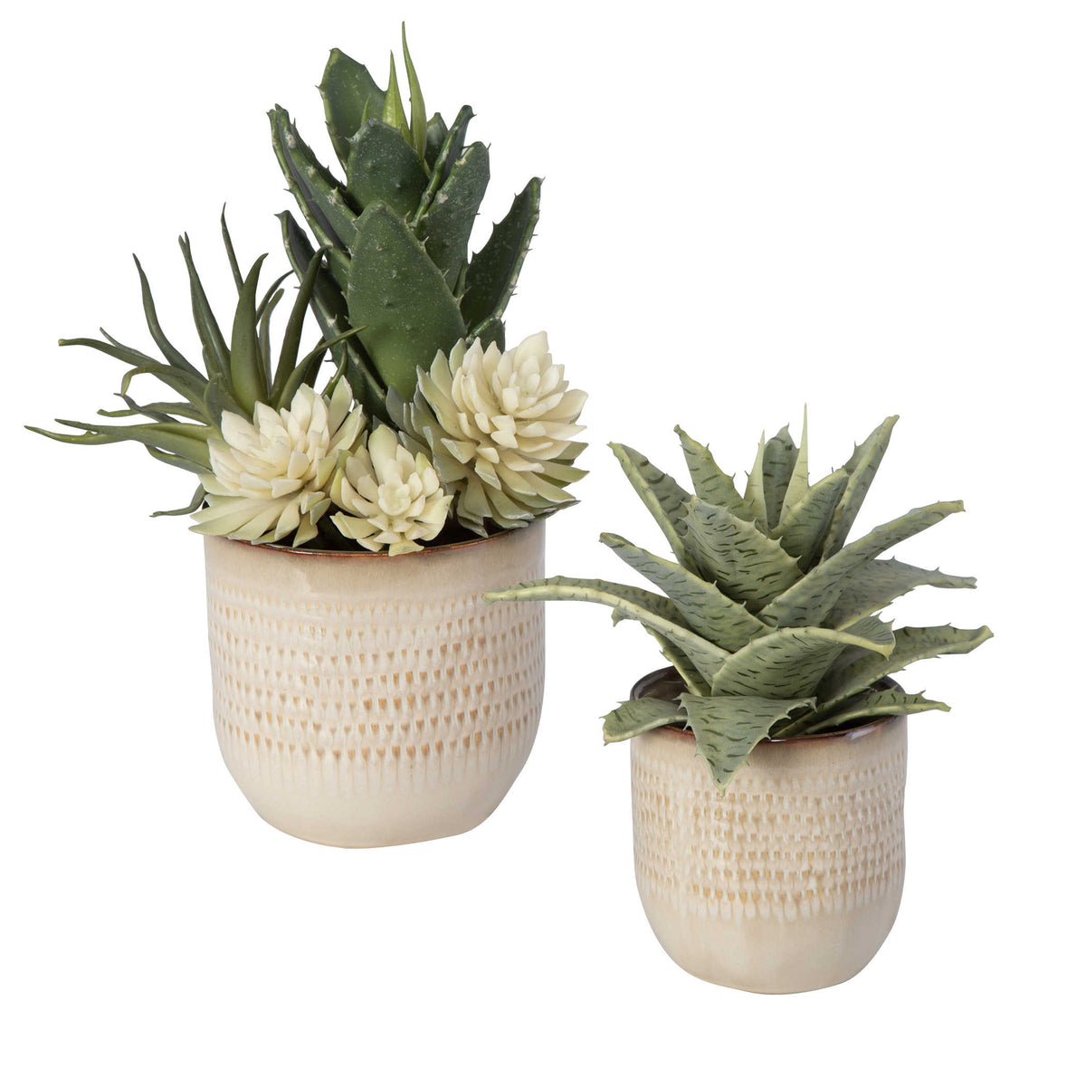 Spiked Succulents Set of 2