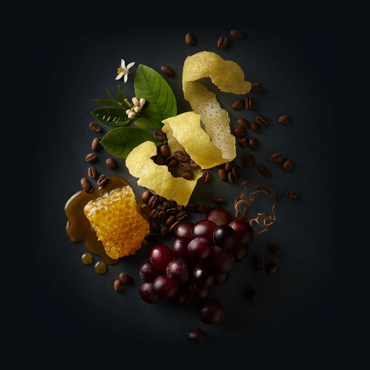 Yuzo Coffee by Ninety Plus Coffee.  A spread of roasted coffee beans with food items that represent that flavor notes of yuzu lemon, muscat grape, and acacia honey. 