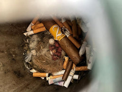 A bird is raising it's babies in a cigarette bucket at my workplace :  r/mildlyinteresting