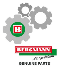 Bergmann original Leitblech 21-02-0349 - 620040063