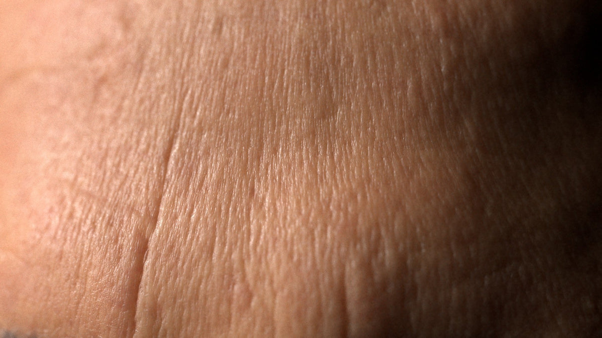 Male 40s Multichannel Face #70 - Texturing.xyz