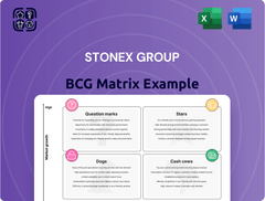 StoneX Group Boston Consulting Group Matrix