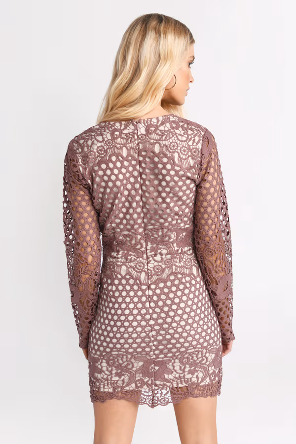 Emily Plunging Lace Mini Dress - Rose