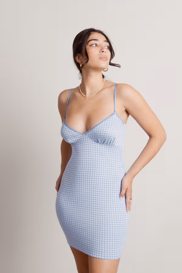 Fruit Sandos Gingham Bodycon Mini Dress - Blue