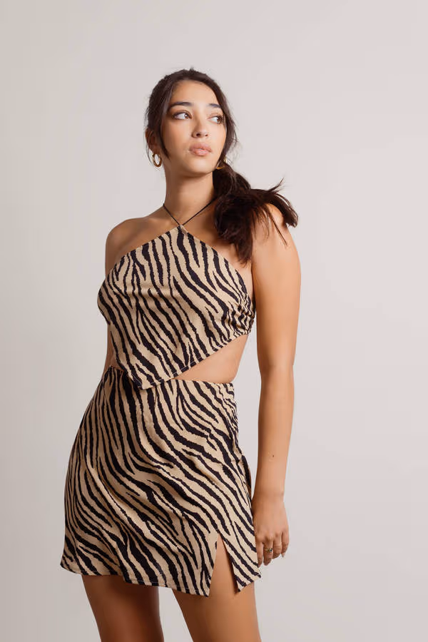 Wild Ones Zebra Print Crop Top and Mini Skirt Set - Taupe