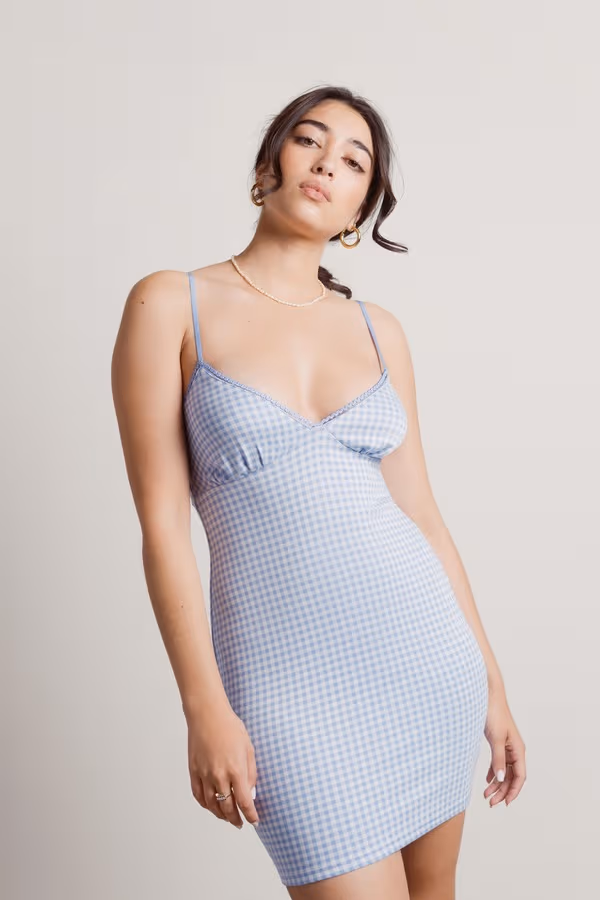 Fruit Sandos Gingham Bodycon Mini Dress - Blue