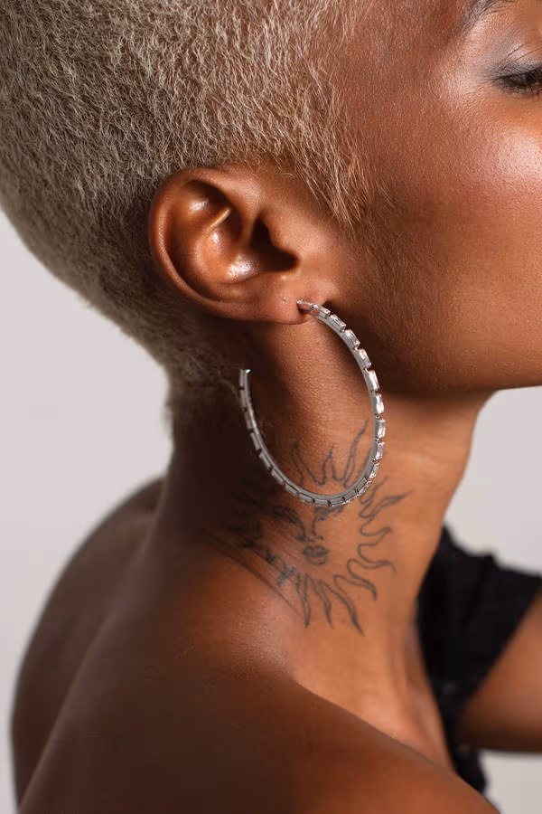 Jaw Dropper Rhinestones Hook Earrings - Silver